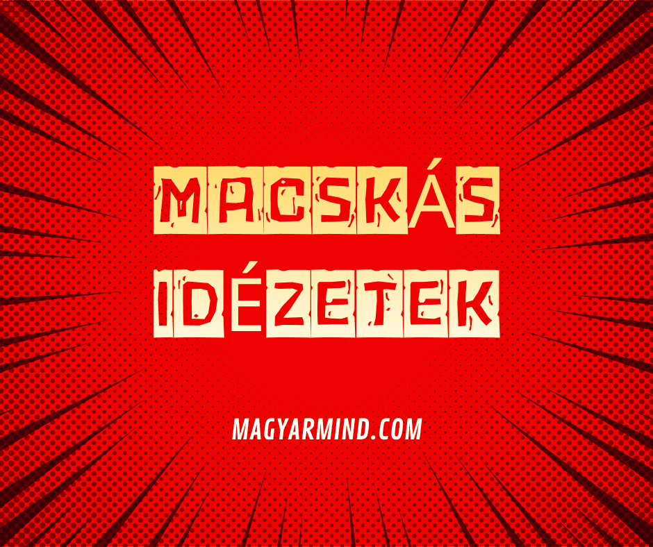 Macskás Idézetek